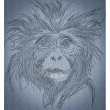 Monkey 10.83 X 10.01