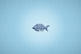 Mini - Fish Skeleton