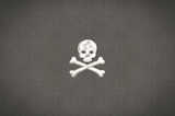 Mini - Skull N Bones