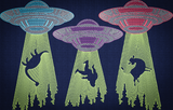 UFO Abduction
