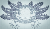 Axolotl 4.09 X 6.89 (103.9mm X 175mm)