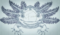 Axolotl 4.09 X 6.89 (103.9mm X 175mm)