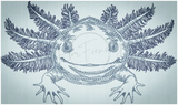 Axolotl 4.09 X 6.89 (103.9mm X 175mm)