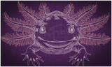 Axolotl 6.78 X 11.42 (172.2mm X 290.1mm)