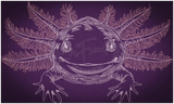 Axolotl 6.78 X 11.42 (172.2mm X 290.1mm)