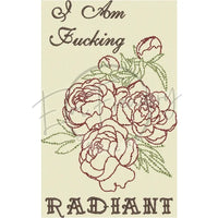 Fucking Radiant 9.82 X 6.14