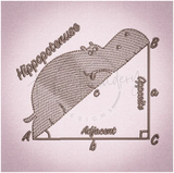 Hippopotenuse 3.46 X 3.87 (87.9mm X 98.3mm)