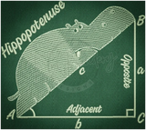 Hippopotenuse 4.73 X 5.30 (120.1mm X 134.6mm)