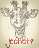 Jeetyet? 11.59 X 9.37 (294.4mm X 238mm)