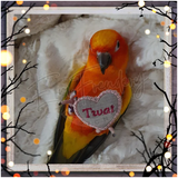 Love Stinks Bag W/ Felties