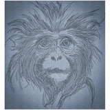 Monkey 10.83 X 10.01