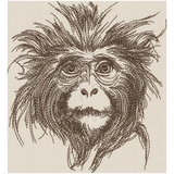 Monkey 5.45 X 5.04