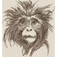 Monkey 5.45 X 5.04