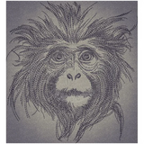 Monkey 6.61 X 6.10