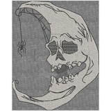 Moon Skull 6.42 X 5.08