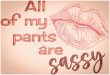 Sassy Pants 9.01 X 13.30 (228.9Mm 337.8Mm)