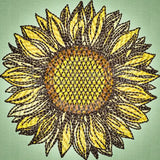 Sunflower 3.90 X