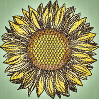 Sunflower 3.90 X