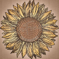 Sunflower 4.92 X