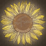 Sunflower 7.80 X 7.81