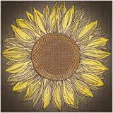 Sunflower 7.80 X 7.81