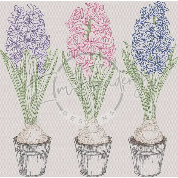 Triple Hyacinth 11.84 X 12.00