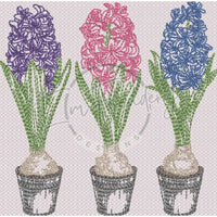 Triple Hyacinth 4.92 X 4.99