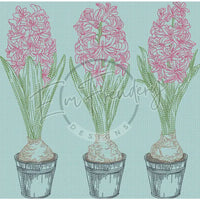 Triple Hyacinth 9.87 X 10.00