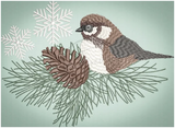 Winter Bird 6.11 X 8.39 (155.2Mm 213.1Mm)