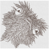 Wtf? Ostrich 4.92 X 4.99