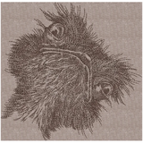 Wtf? Ostrich 7.83 X 7.68