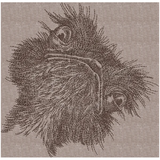 Wtf? Ostrich 7.83 X 7.68