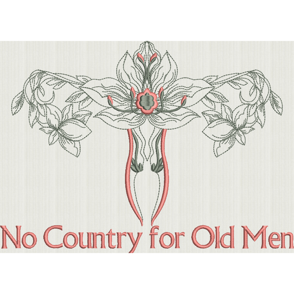 No Country for Old Men - Outline